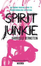 Spirit Junkie. Un camino radical para tu transformacin espiritual