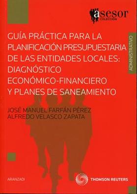 Guia practica para la planificacion presupuestaria de las entidades locales: Diagnostico economico-financiero y planes de saneamiento