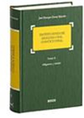 Instituciones de Derecho Civil Común y Foral. Tomo II. Obligaciones y Contratos