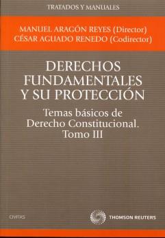 Derechos fundamentales y su proteccion. Temas basicos de derecho constitucional 3