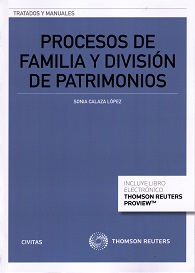 Procesos de familia y división de patrimonios