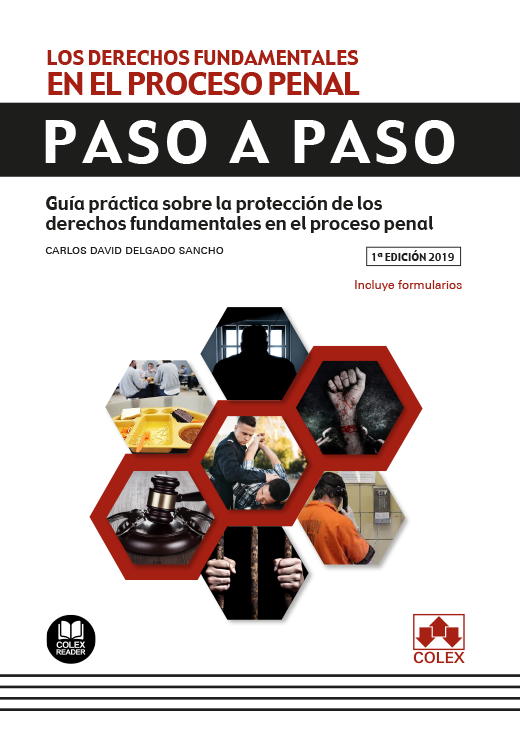 Derechos Fundamentales en el Proceso Penal Paso a Paso.Guia prctica ( Incluye formularios)