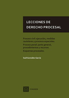 Lecciones de derecho procesal. Proceso civil: ejecucin, medidas y procesos especiales. Proceso penal:parte general, procedimiento y recursos. Esquemas procesales