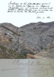Transcripcin del manuscrito: Relacin de las plantas que viven en los Baos de Segura en Aragn ..., escrito por D Pascual Bailn Hergueta