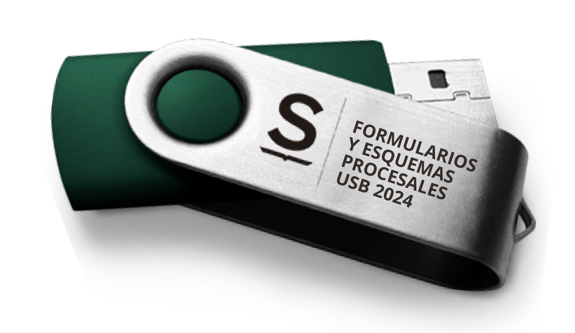 Formularios y Esquemas Procesales 2024 ( USB )