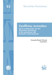 Conflictos armados: de la vulneracin de los Derechos Humanos a las sanciones del Derecho Internacional 
