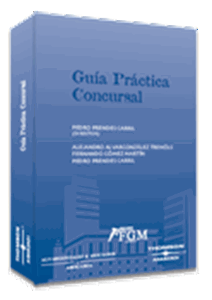 Gua Prctica Concursal